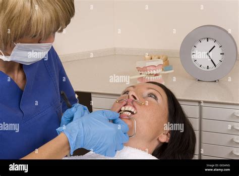 dentist stock photo|More.